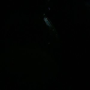 Meet your Posher, Gregory